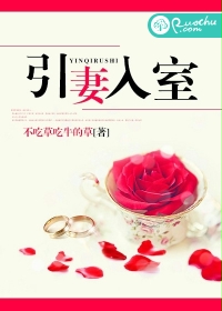 引妻入室封面