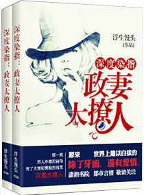 深度染指：政妻太撩封面