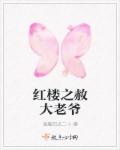 红楼之赦大老爷封面