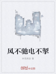 风不驰电不掣封面