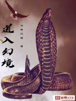 道入幻境封面