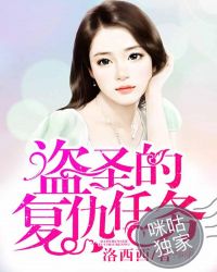 盗圣的复仇任务封面