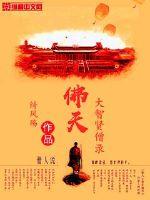 佛天大智贤僧录封面