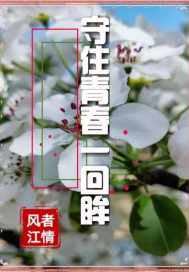 守住青春一回眸封面