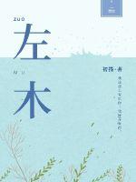 左木封面