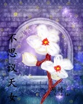 不思议天女封面