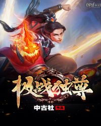 极战独尊封面