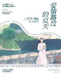 爱情路过的夏天封面