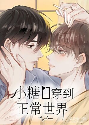 小糖O穿到正常世界封面