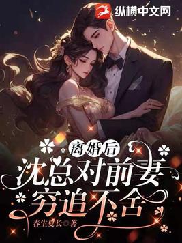 离婚后，沈总对前妻穷追不舍封面