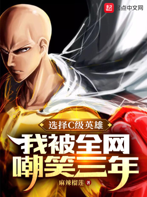 选择C级英雄，我被全网嘲笑三年封面