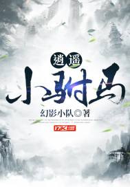 逍遥小驸马封面
