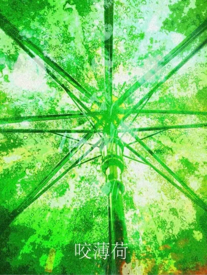 咬薄荷[人前不熟]封面