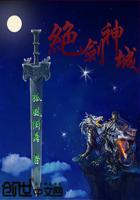 绝剑神城传封面