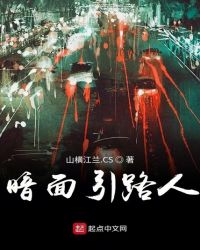 暗面引路人封面