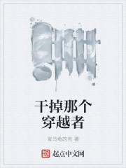 干掉那个穿越者封面