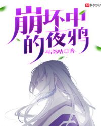 崩坏中的夜鸦封面