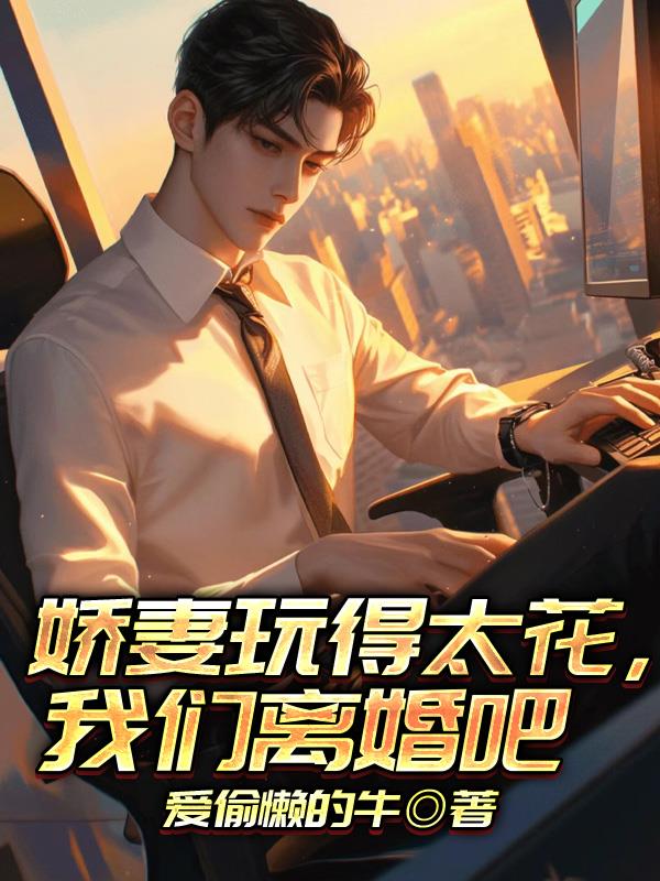 娇妻玩得太花，我们离婚吧封面