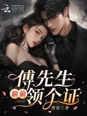 傅先生,偷偷领个证封面