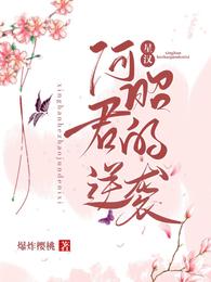 星汉:何昭君的逆袭封面