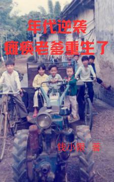 年代逆袭：瘫痪老爹重生了封面