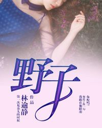 野子封面