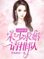 天价鲜妻：宋少求婚请排队封面