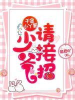 千金小丫鬟：少爷，请接招封面