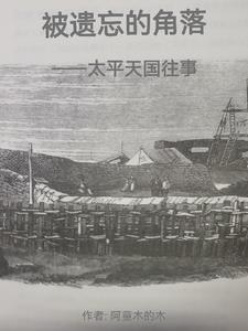 被遗忘的角落：太平天国往事封面