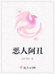 恶人阿丑封面