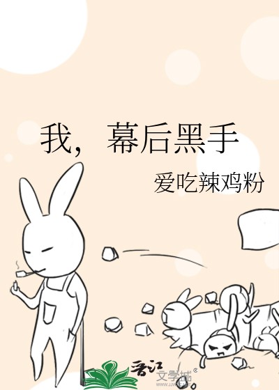 我,幕后黑手封面