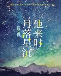 他来时,月落星沉封面