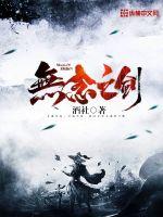 无念之剑封面
