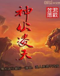 神火凌天封面