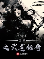 无限之武道传奇封面