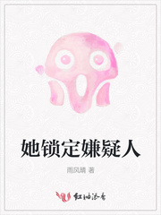 她锁定嫌疑人封面