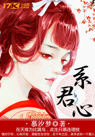 系君心封面