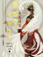 错时空之倾天下封面