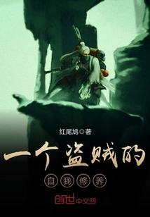 一个盗贼的自我修养封面