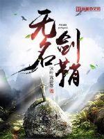 无名剑鞘封面