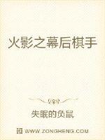 火影之幕后棋手封面