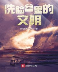 洗脸盆里的文明封面