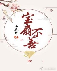 宝扇不善封面