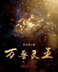 万兽灵王封面