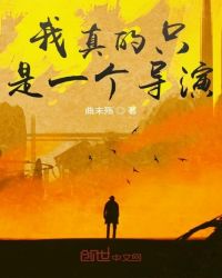 我真的只是一个导演封面