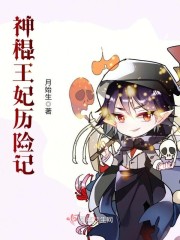 神棍王妃历险记封面