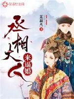 丞相大人来逼婚封面