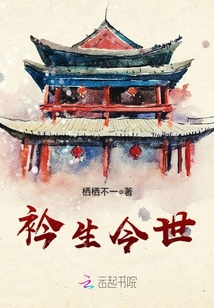 衿生今世封面