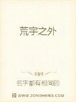 荒宇之外封面