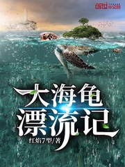 大海龟漂流记封面